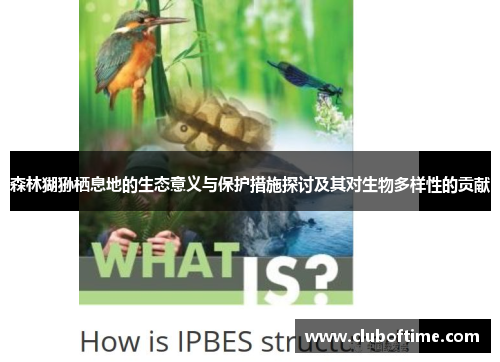 森林猢狲栖息地的生态意义与保护措施探讨及其对生物多样性的贡献